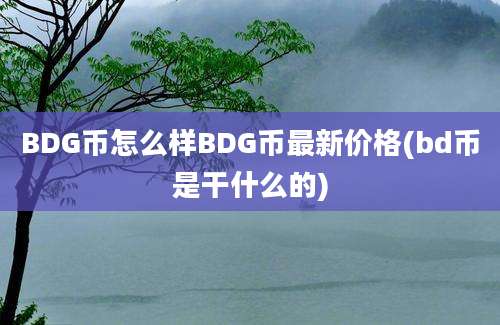 BDG币怎么样BDG币最新价格(bd币是干什么的)