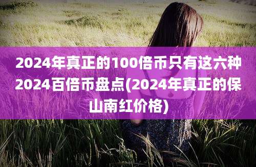 2024年真正的100倍币只有这六种2024百倍币盘点(2024年真正的保山南红价格)