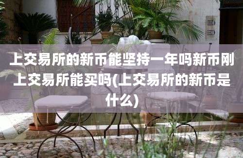 上交易所的新币能坚持一年吗新币刚上交易所能买吗(上交易所的新币是什么)