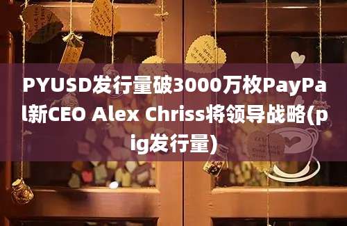 PYUSD发行量破3000万枚PayPal新CEO Alex Chriss将领导战略(pig发行量)