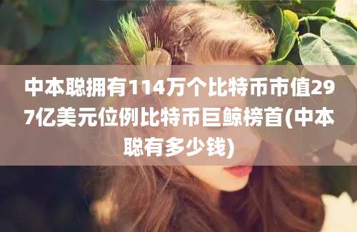 中本聪拥有114万个比特币市值297亿美元位例比特币巨鲸榜首(中本聪有多少钱)