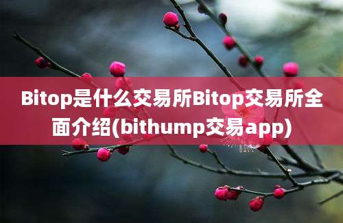 Bitop是什么交易所Bitop交易所全面介绍(bithump交易app)