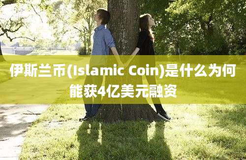 伊斯兰币(Islamic Coin)是什么为何能获4亿美元融资