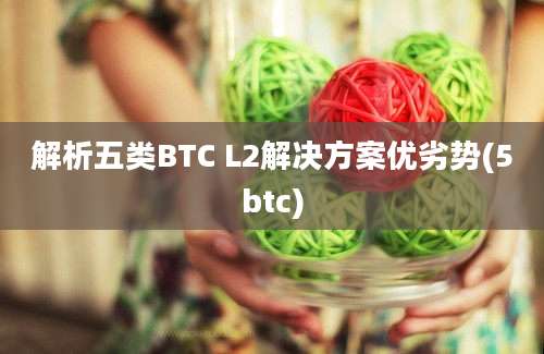 解析五类BTC L2解决方案优劣势(5btc)