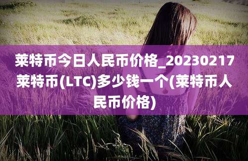 莱特币今日人民币价格_20230217莱特币(LTC)多少钱一个(莱特币人民币价格)