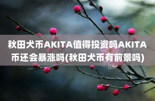 秋田犬币AKITA值得投资吗AKITA币还会暴涨吗(秋田犬币有前景吗)