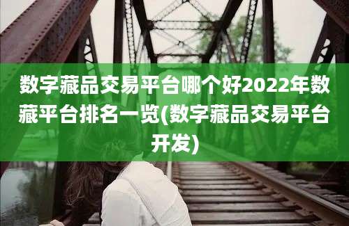 数字藏品交易平台哪个好2022年数藏平台排名一览(数字藏品交易平台开发)