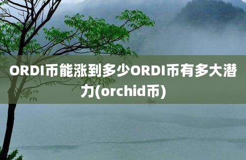 ORDI币能涨到多少ORDI币有多大潜力(orchid币)