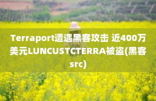 Terraport遭遇黑客攻击 近400万美元LUNCUSTCTERRA被盗(黑客src)