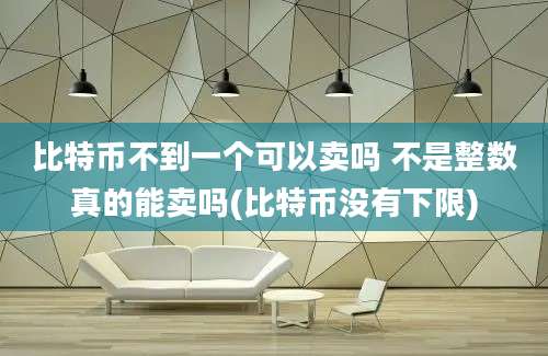 比特币不到一个可以卖吗 不是整数真的能卖吗(比特币没有下限)