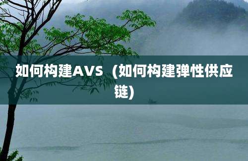 如何构建AVS  (如何构建弹性供应链)