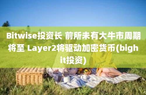 Bitwise投资长 前所未有大牛市周期将至 Layer2将驱动加密货币(bighit投资)