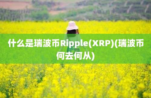 什么是瑞波币Ripple(XRP)(瑞波币何去何从)