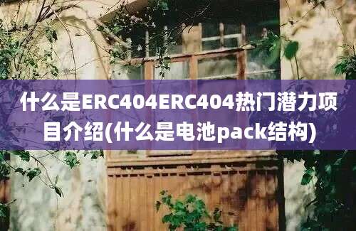 什么是ERC404ERC404热门潜力项目介绍(什么是电池pack结构)