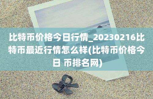 比特币价格今日行情_20230216比特币最近行情怎么样(比特币价格今日 币排名网)