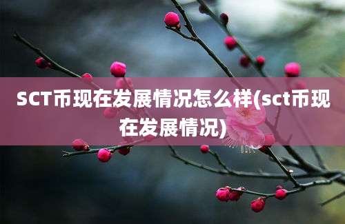 SCT币现在发展情况怎么样(sct币现在发展情况)