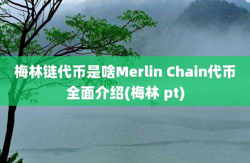 梅林链代币是啥Merlin Chain代币全面介绍(梅林 pt)