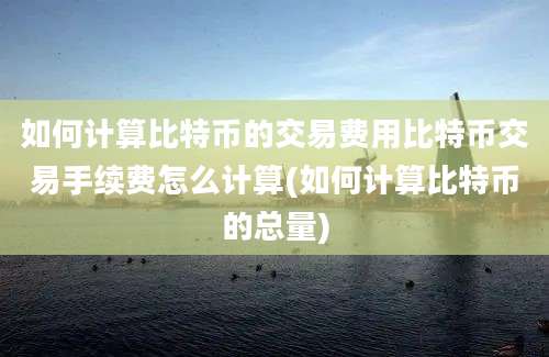 如何计算比特币的交易费用比特币交易手续费怎么计算(如何计算比特币的总量)