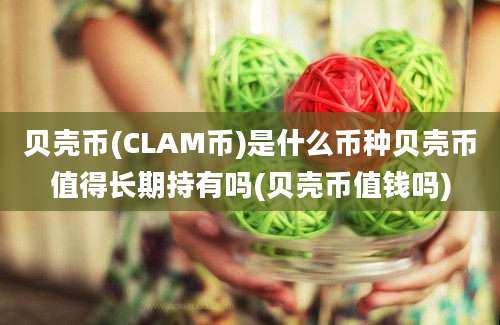 贝壳币(CLAM币)是什么币种贝壳币值得长期持有吗(贝壳币值钱吗)