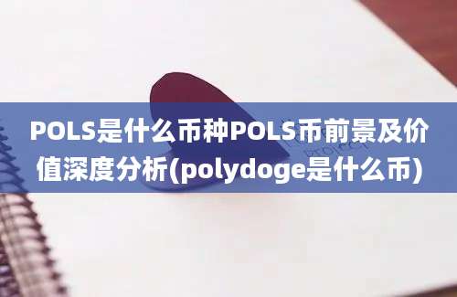 POLS是什么币种POLS币前景及价值深度分析(polydoge是什么币)