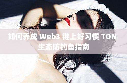 如何养成 Web3 链上好习惯 TON 生态防钓鱼指南