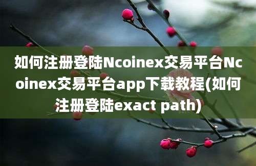 如何注册登陆Ncoinex交易平台Ncoinex交易平台app下载教程(如何注册登陆exact path)