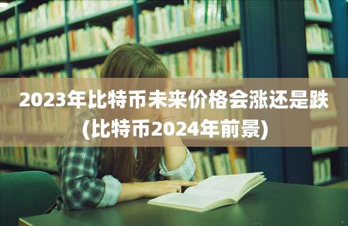 2023年比特币未来价格会涨还是跌(比特币2024年前景)