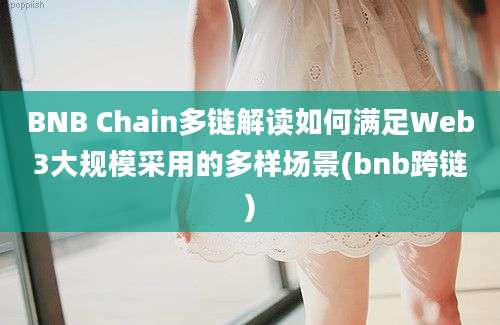 BNB Chain多链解读如何满足Web3大规模采用的多样场景(bnb跨链)