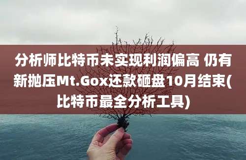 分析师比特币未实现利润偏高 仍有新抛压Mt.Gox还款砸盘10月结束(比特币最全分析工具)