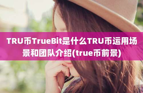 TRU币TrueBit是什么TRU币运用场景和团队介绍(true币前景)