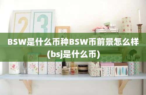 BSW是什么币种BSW币前景怎么样(bsj是什么币)