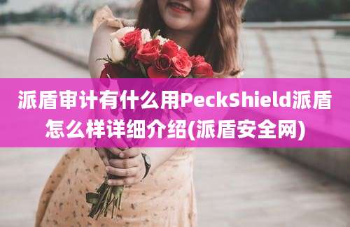 派盾审计有什么用PeckShield派盾怎么样详细介绍(派盾安全网)