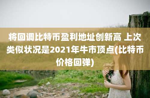 将回调比特币盈利地址创新高 上次类似状况是2021年牛市顶点(比特币价格回弹)