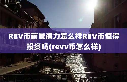 REV币前景潜力怎么样REV币值得投资吗(revv币怎么样)