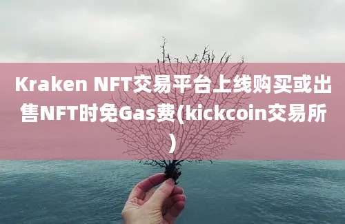 Kraken NFT交易平台上线购买或出售NFT时免Gas费(kickcoin交易所)