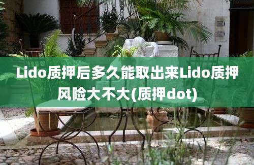 Lido质押后多久能取出来Lido质押风险大不大(质押dot)