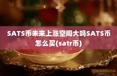 SATS币未来上涨空间大吗SATS币怎么买(satr币)