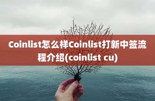 Coinlist怎么样Coinlist打新中签流程介绍(coinlist cu)