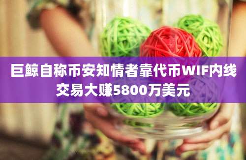 巨鲸自称币安知情者靠代币WIF内线交易大赚5800万美元