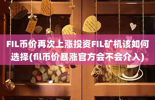 FIL币价再次上涨投资FIL矿机该如何选择(fil币价暴涨官方会不会介入)