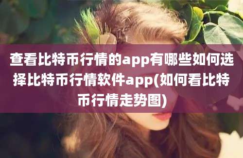 查看比特币行情的app有哪些如何选择比特币行情软件app(如何看比特币行情走势图)