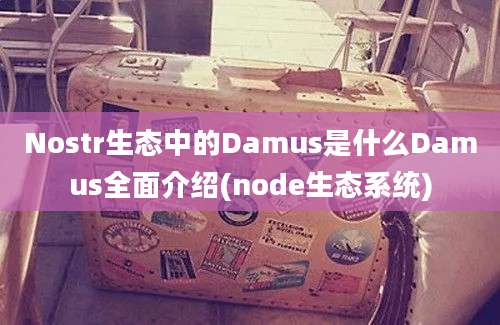 Nostr生态中的Damus是什么Damus全面介绍(node生态系统)