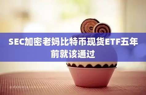 SEC加密老妈比特币现货ETF五年前就该通过