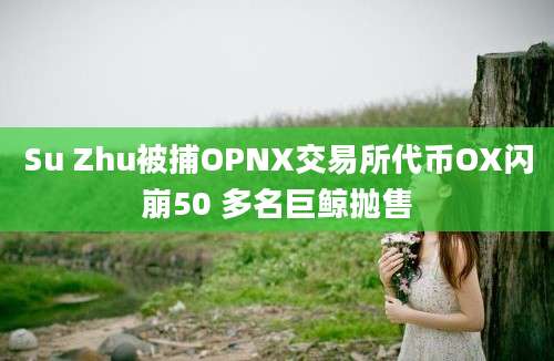 Su Zhu被捕OPNX交易所代币OX闪崩50 多名巨鲸抛售