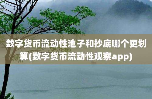 数字货币流动性池子和抄底哪个更划算(数字货币流动性观察app)