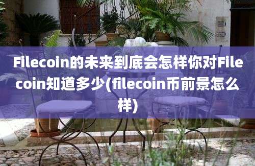 Filecoin的未来到底会怎样你对Filecoin知道多少(filecoin币前景怎么样)