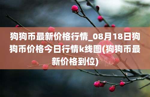 狗狗币最新价格行情_08月18日狗狗币价格今日行情k线图(狗狗币最新价格到位)