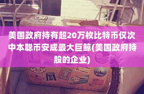 美国政府持有超20万枚比特币仅次中本聪币安成最大巨鲸(美国政府持股的企业)