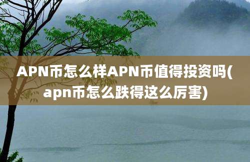 APN币怎么样APN币值得投资吗(apn币怎么跌得这么厉害)