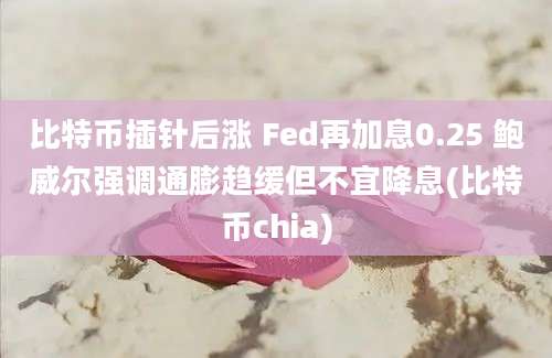 比特币插针后涨 Fed再加息0.25 鲍威尔强调通膨趋缓但不宜降息(比特币chia)